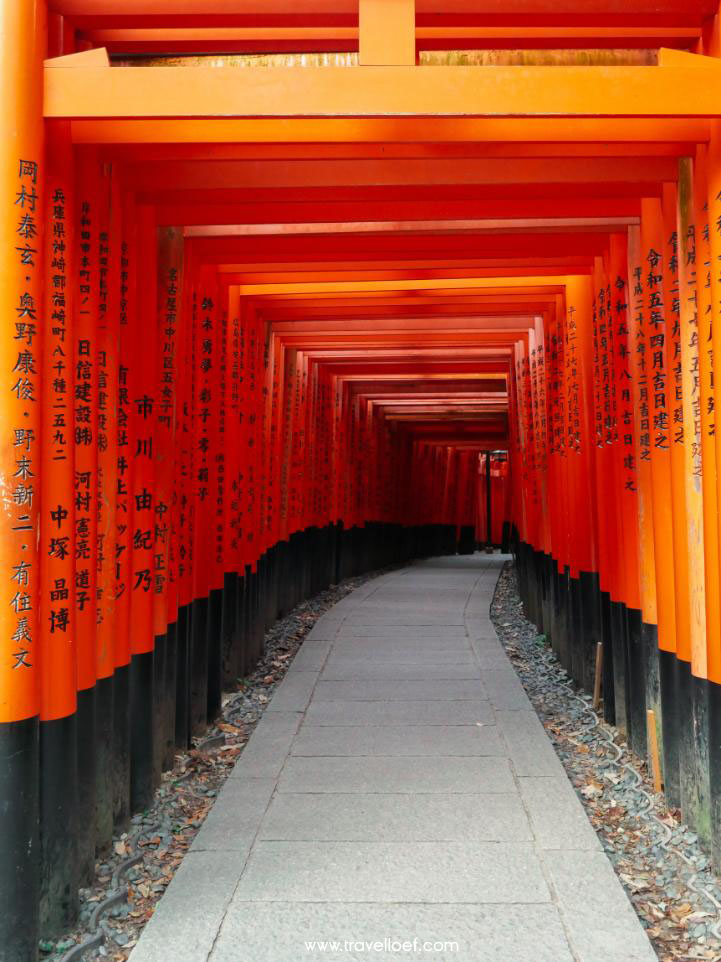 Fushimi Inari-taisha in Kyoto oranje shrines