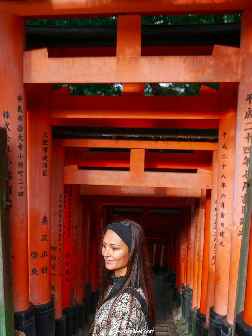 Fushimi Inari-taisha in Kyoto travelloef oranje shrines op de berg Inari