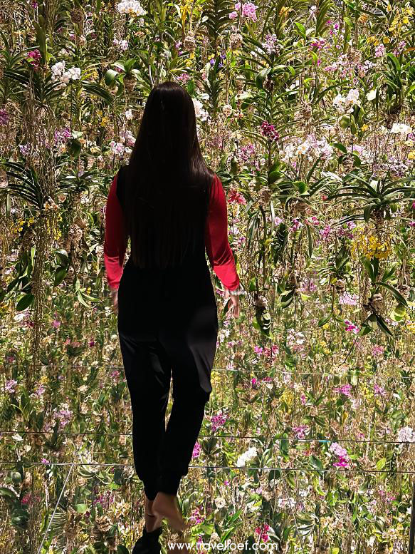 TeamLab museum bezoek Japan Tokyo