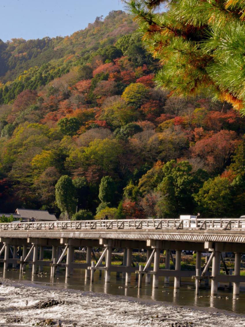 Arashiyama Park brug Kyoto Japan