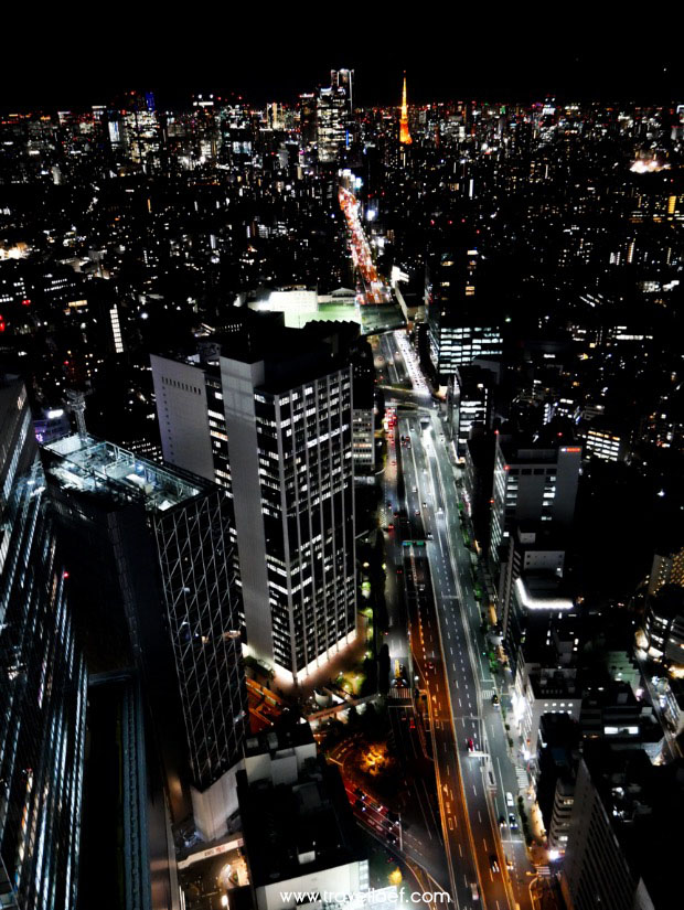 Shibuya Sky Building bezoek uitzicht Tokyo
