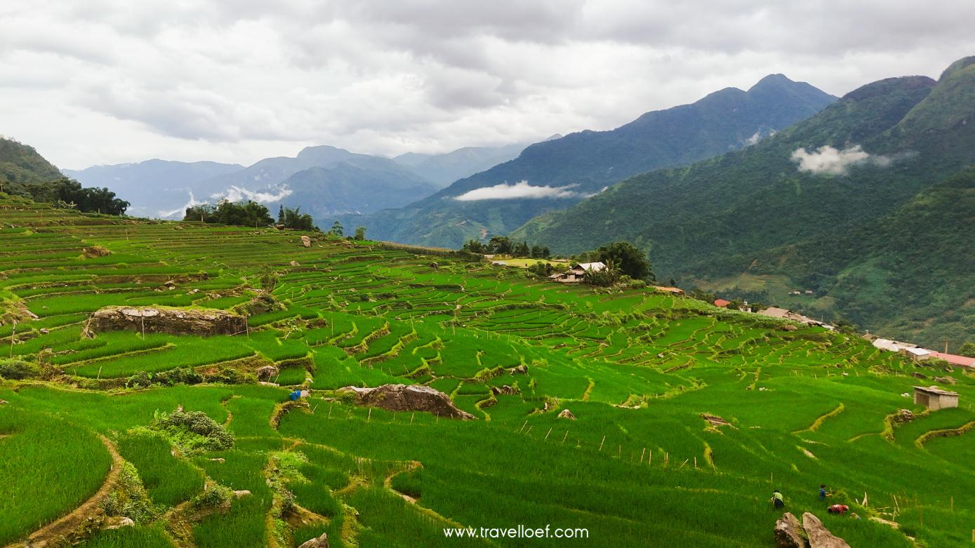Rijstvelden en omgeving van Sapa in Vietnam