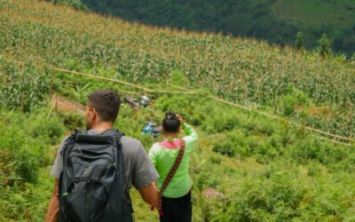 Bezoek de rijstvelden in Sapa: tips voor wat te doen