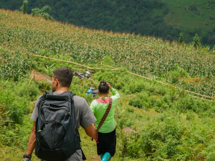 Bezoek de rijstvelden in Sapa: tips voor wat te doen