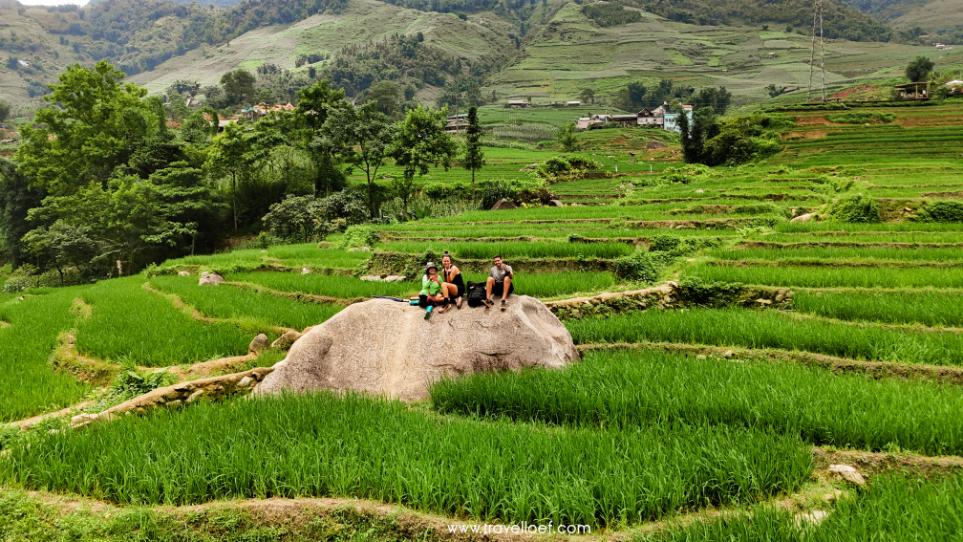 Sapa rijstvelden